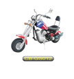 Gasoline Scooter (CB-GS012)