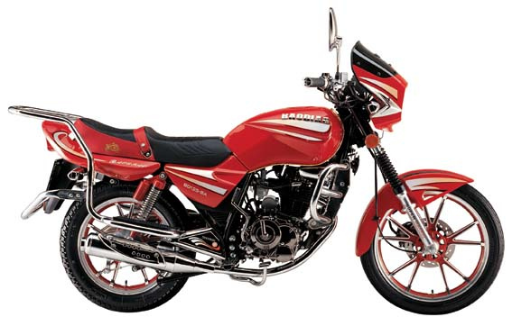 Eec/Epa/Dot Motorcycle (BD125-8A-IV)