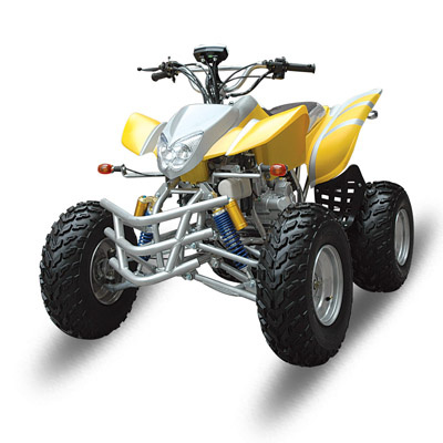 Zc-ATV-12b (250CC) with Speed Meter and Turning Light