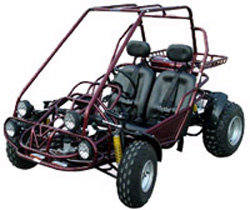 Go Kart (GK06)