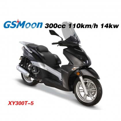 Gas Scooter (XY300T-5)