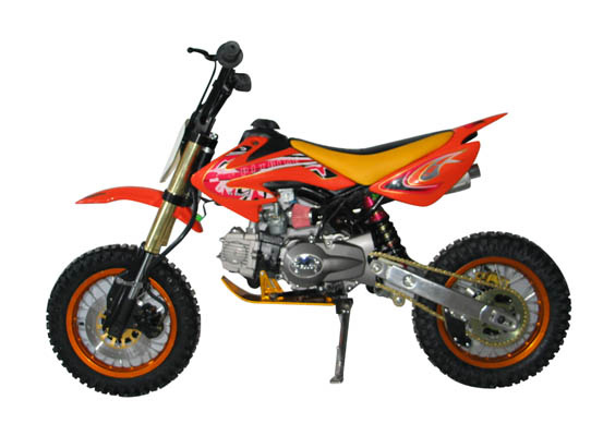 EEC Dirt Bike (D08)