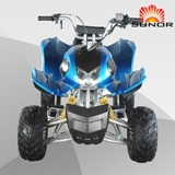 ATV (SN01E-110CC)