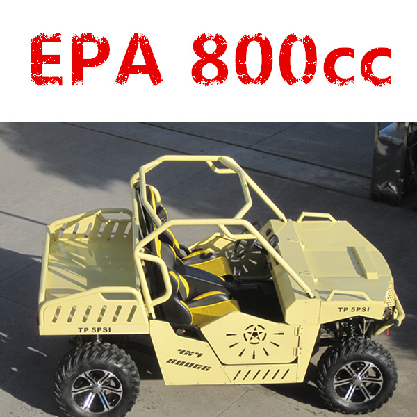 800cc UTV / Buggy (DMU800-02)