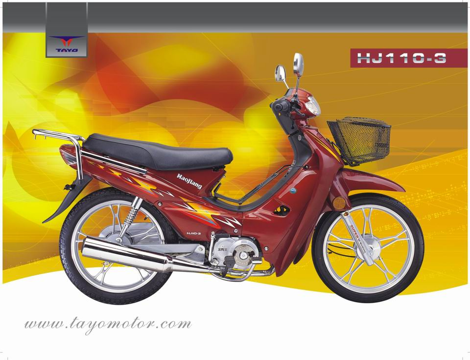 Motorcycle (HJ110-3)