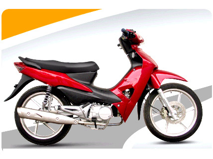 Motorcycle (CM100-5A)