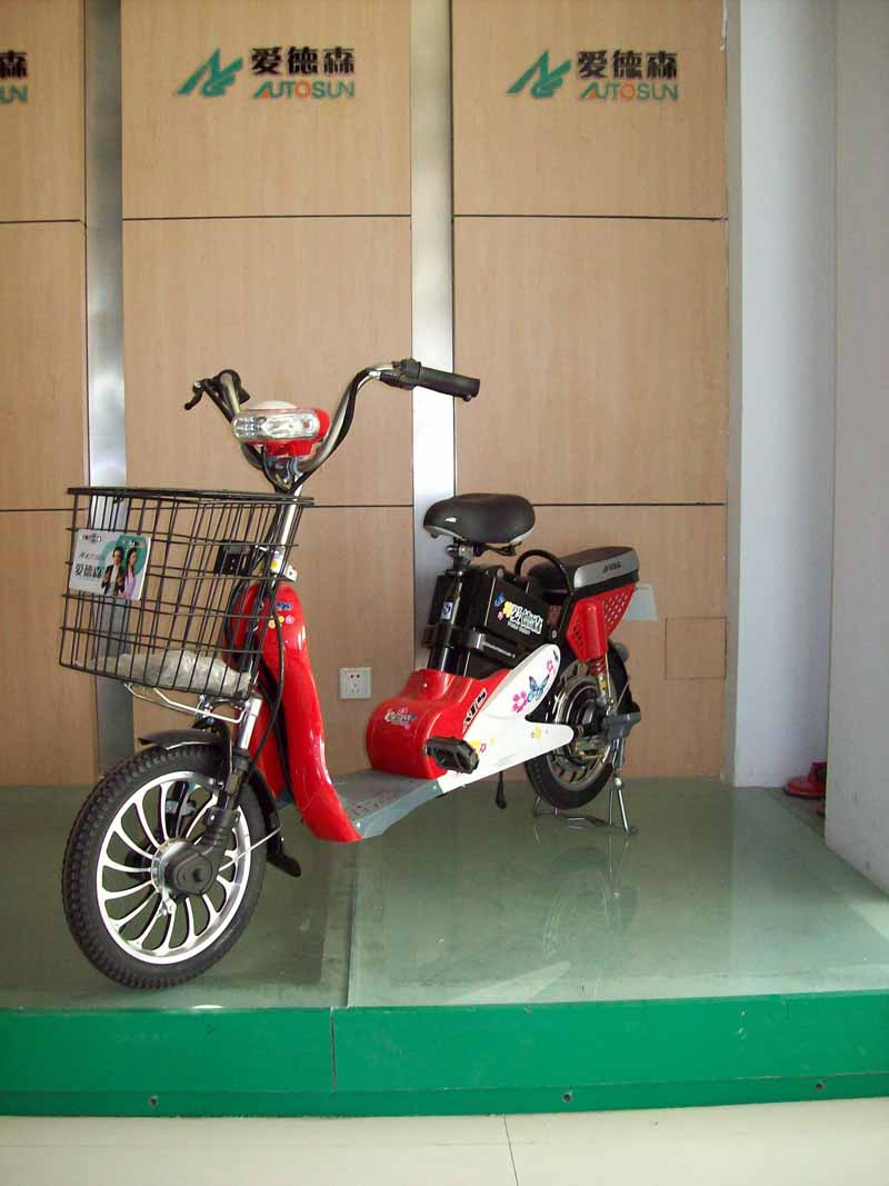 E-Bike (Butterfly TDR07179)