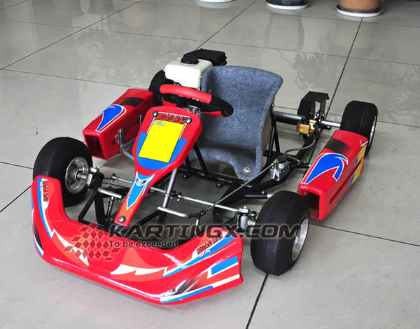 Cheap Racing Go Kart for Sale