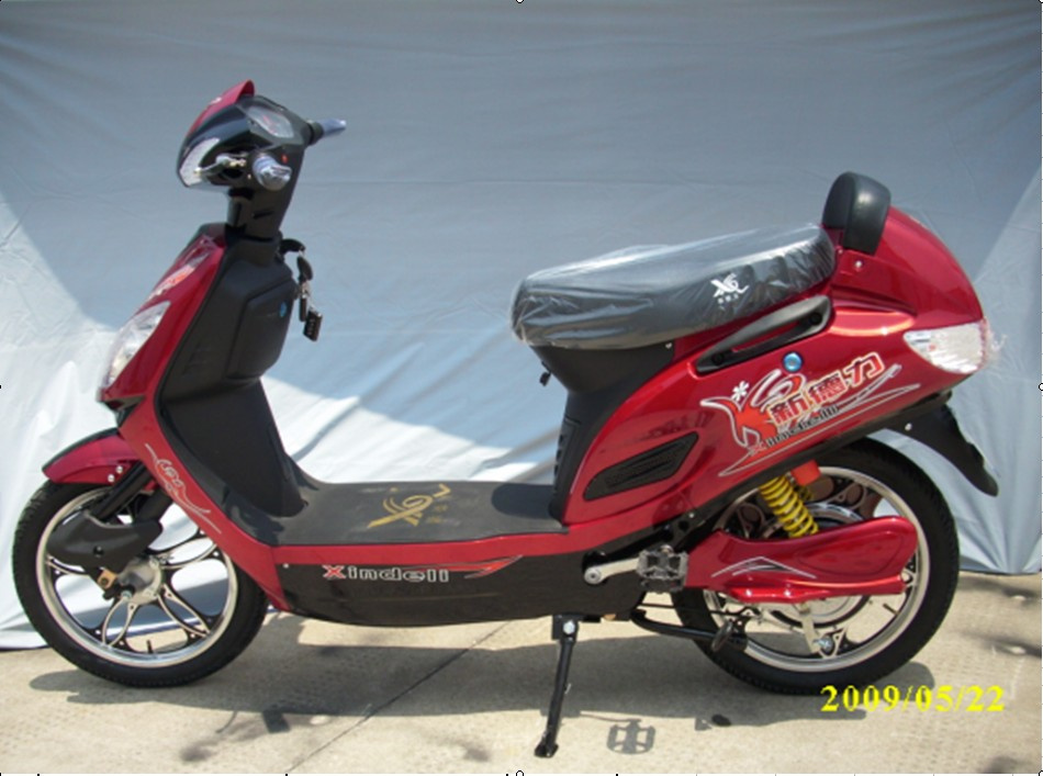 Electric Scooter DL009