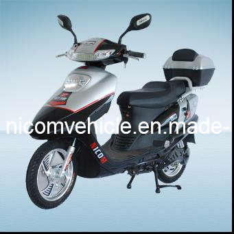 Electric Scooter (TDR48K69)