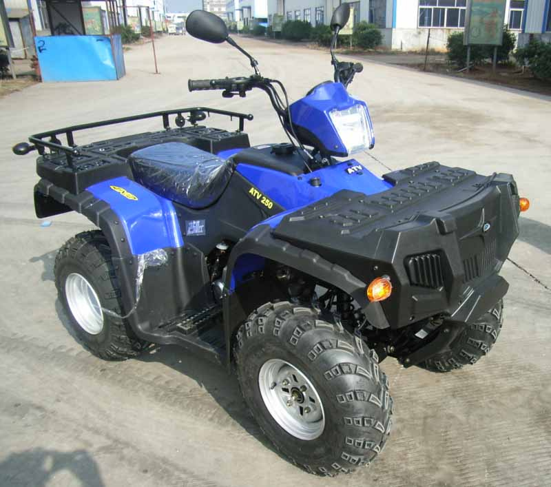 EEC / COC Approved 250cc 2WD Automatic Clutch ATV (FA250S-5B)