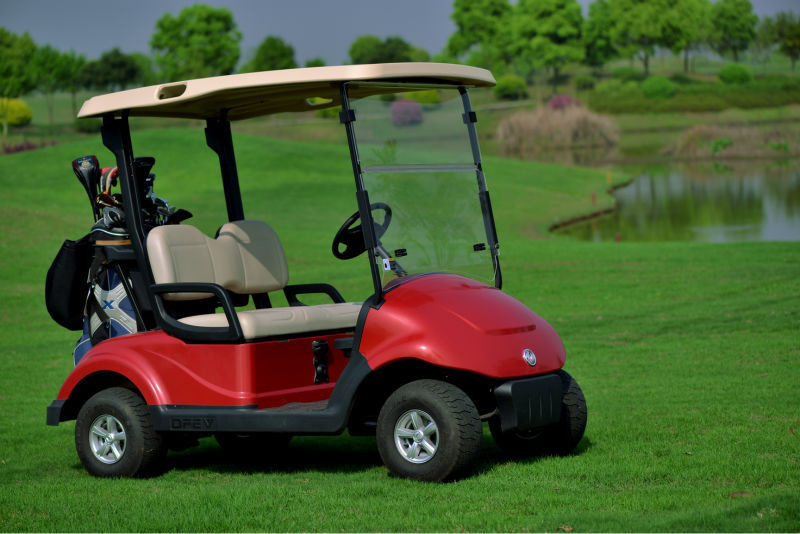 Hot Sale Electric 2 Seats Golf Scooter for Golf Course ATV
