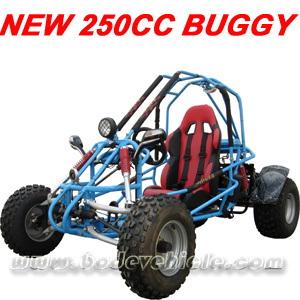 New 250CC Go Cart. Buggy (MC-413)