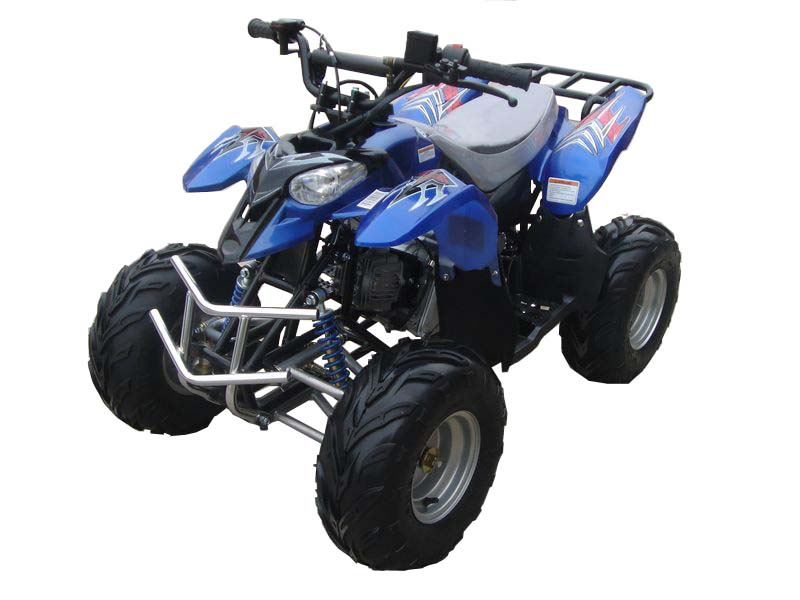 110cc Mini Atv / Quad (Polaris Style) (ATV-110C)
