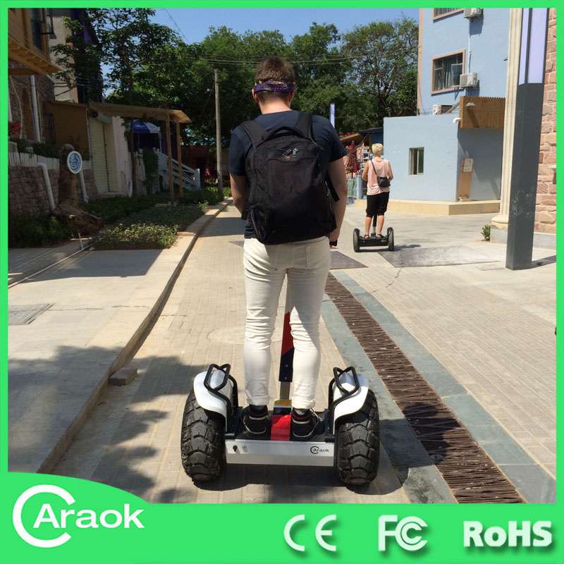 Mountain Climbing Transport Electric Scooter Ca1600b
