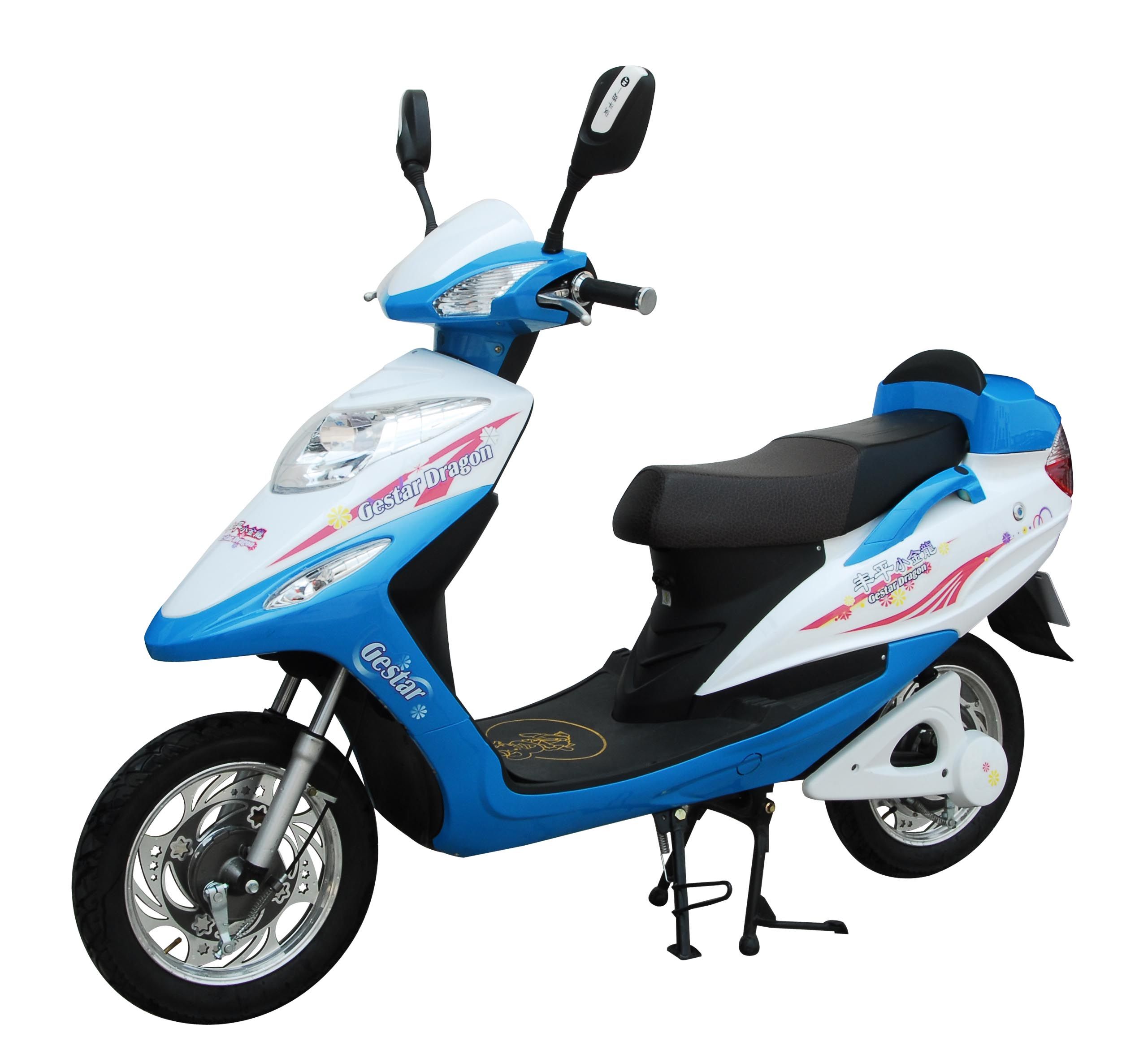 Elctric Scooter (FPE-013)