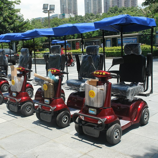 CE Approve 500W Mobility Scooter with a Roof (DL24500-2)