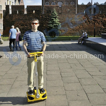 Two Wheel Mini Electric Scooters (Robin-M1)