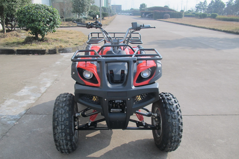 Electric Automatic ATV
