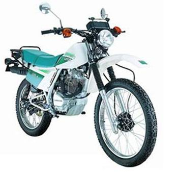 Dirt Bike (ACE150GY-2)