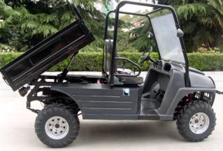 Utility Vehicle (LBC195UTV)