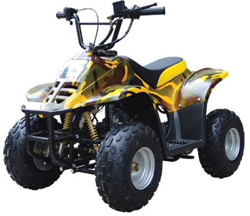 50cc QUAD/ATV with CE (FST-50-C)