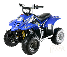 Kid ATV / Quad Bike (Quad-70CC-1)