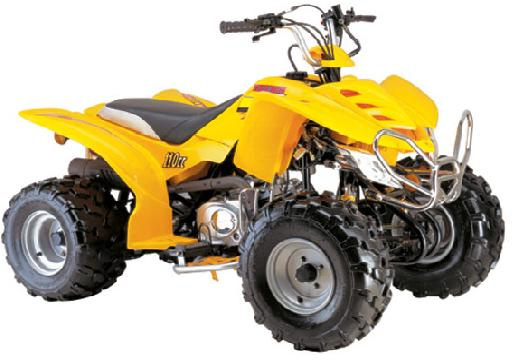 110CC ATV (XW-A12)