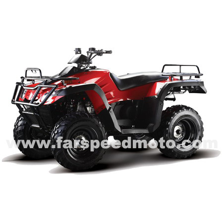 300cc Four-Stroke, Water Cooled, Air-Cleaner 4x4 Quad / ATV (FPA300E-B2)