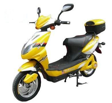350W Electric Scooter (TDR703Z)
