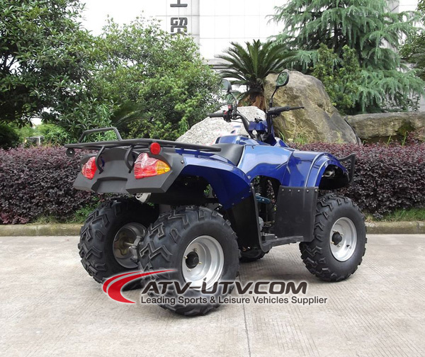 Zhejiang Mini Quad ATV 250cc