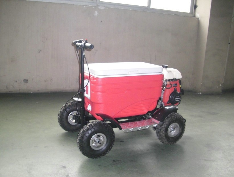 Gas Powered Fook-Keeping Cooler Scooter (SX-G110)