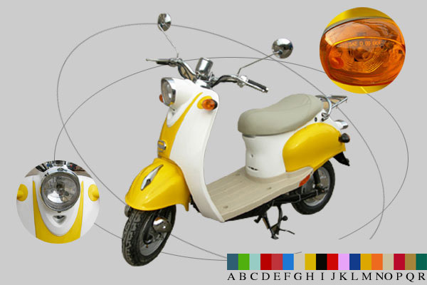 500-1000W Electric Scooter (INTE-009)