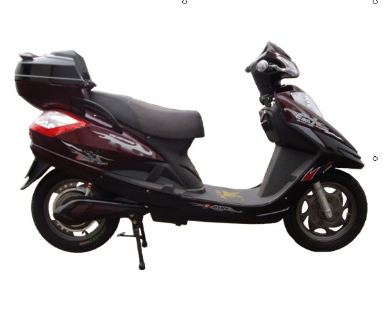Electric Scooter DL019
