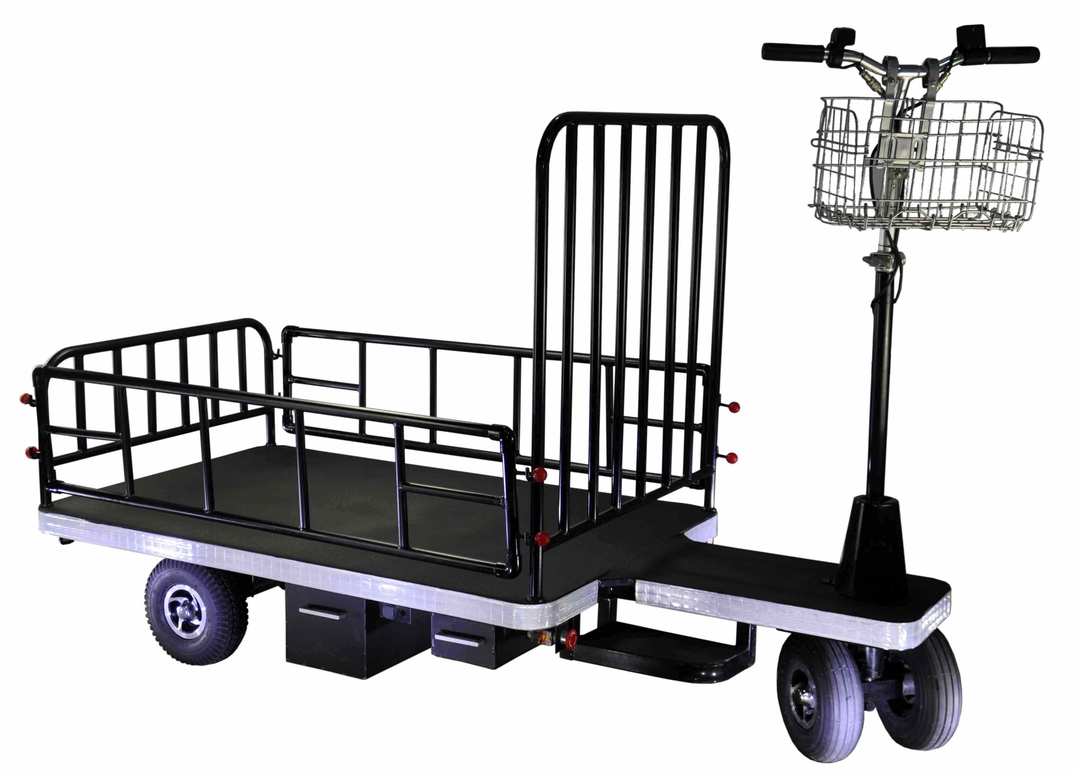 Electric Cargo Motorcycle (DH-PS1-C8 Heavy Duty, Half Fence, Curtis Controller, 800W Motor)
