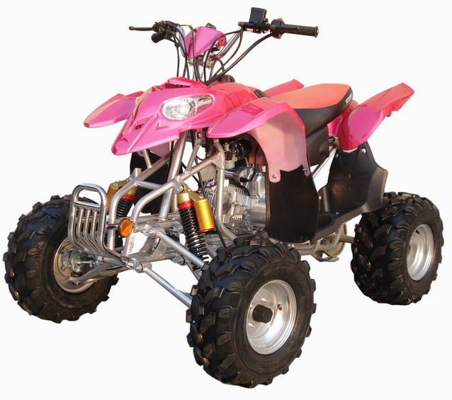 EPA 110CC ATV, Quad (110cc-24)