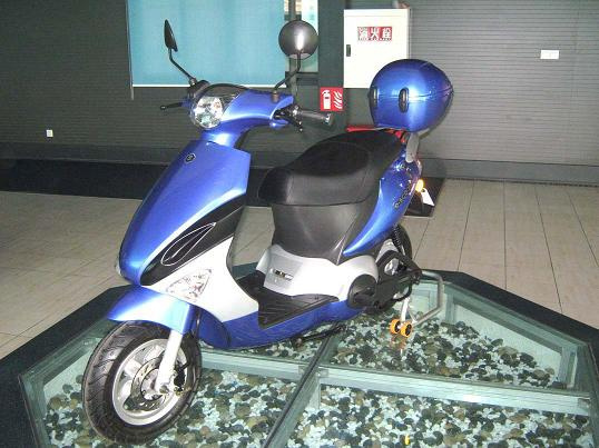 CE Electric Scooter (JK-ZSJK)