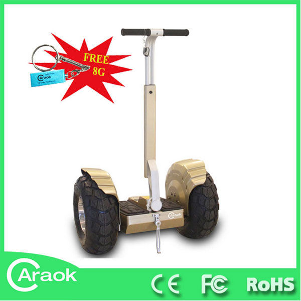 China Electric Chariot 2 Wheel Electric Scooter