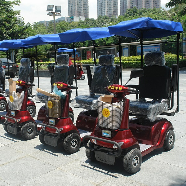 CE Certificate Electric Golf Scooter for Elderly (DL24500-2)