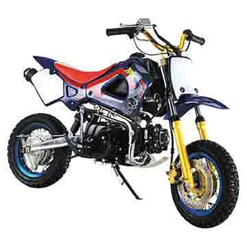 110CC Dirt Bike (RN-D110-E)