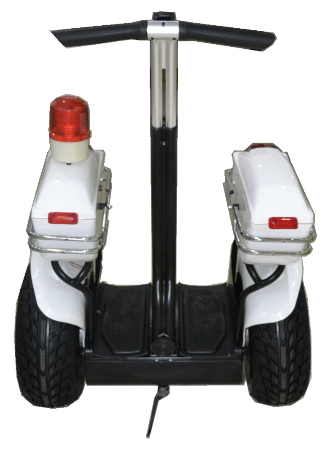 Beautiful & Cool 19 Inch Electric Scooter 48V 520W E Bike Folding Electric Bike Golf Vehicle Folding Electric Bike