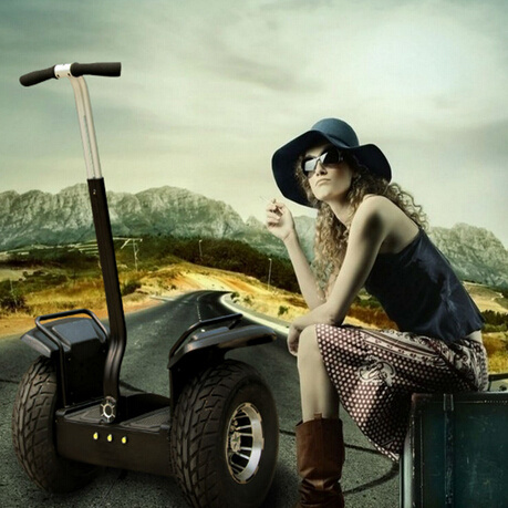 Quanlity Guarantee of off Road 2 Wheels Electric Scooter