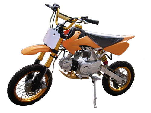 Dirt Bike (ZLDB-21)