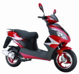 Scooter (ZW50QT-7A)