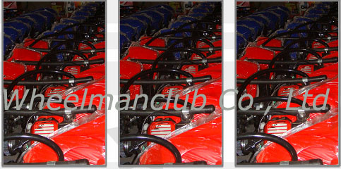 2009 New Motorized Skateboard Wheelman 49CC 1