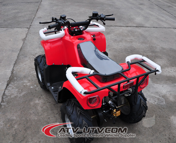 Hot Selling New 110cc ATV (AT1103)
