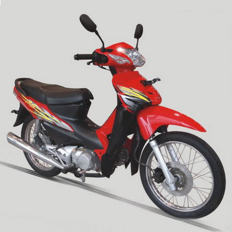 Asian Tiger Pocket Bike (WJ110III)