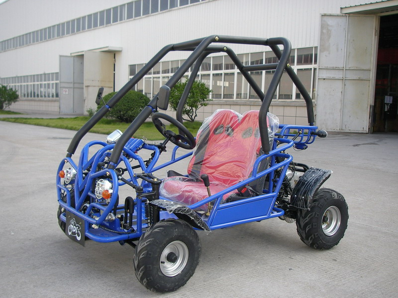 CVT Four Wheeler Kandi Buggy Go Kart for Kid (KD 49FM5)