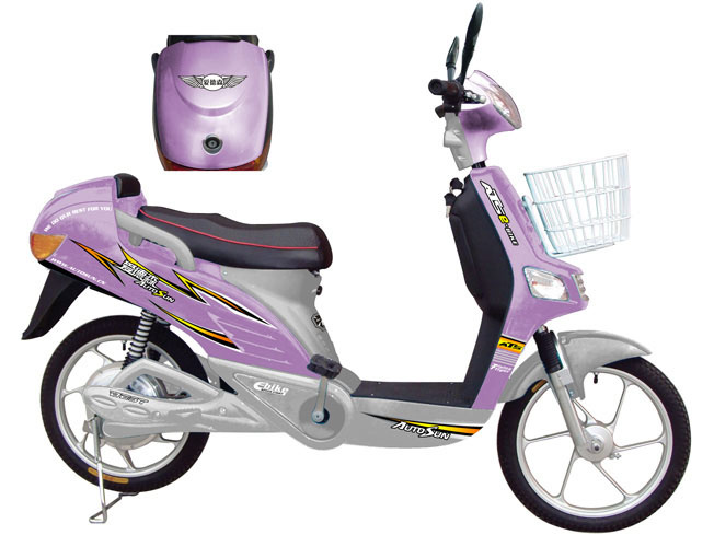 Electric Motorcycle (TDR07166)