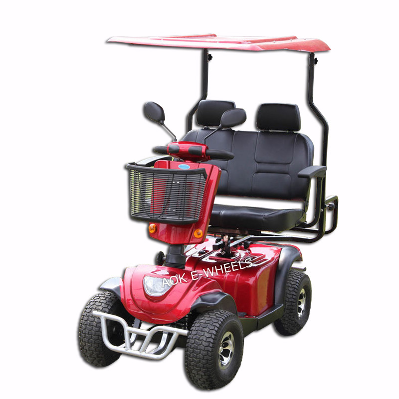 1300W Taiwan Motor Electric Mobility Scooter (MS-010)